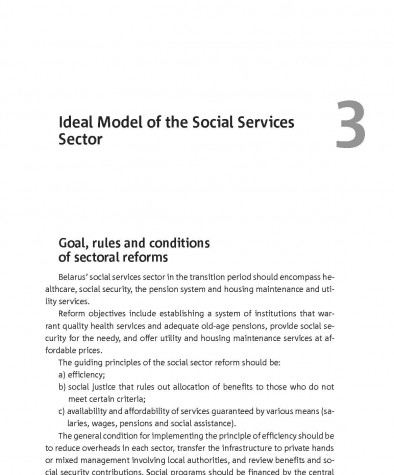 Ideal Model of the Social Services Sector